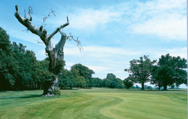 STONELEIGH DEER PARK GOLF CLUB image